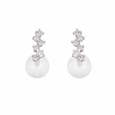 Fashion Crystal S925 Silver Cubic Zirconia Drop Earrings for Girls Simple Minimalistic Jewelry for Women Ladies Wholesale Bulk