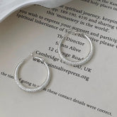 Simple Minimalistic Trendy Sweet Glitter Hoop Earrings for Girls Bold Glamorous Jewelry for Women Ladies Accessories Wholesale