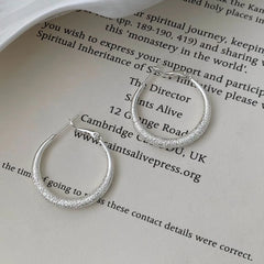 Simple Minimalistic Trendy Sweet Glitter Hoop Earrings for Girls Bold Glamorous Jewelry for Women Ladies Accessories Wholesale