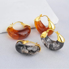 Retro Hoop Earrings Women Maillard Amber Earrings Explosive Curry Color Light Luxury Elegant Earrings Autumn and Winter New Bulk