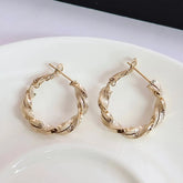 Fashion Trendy Stylish Classic Hoop Earrings for Girls Charms Art Deco OOTD Jewelry for Women Lady Accessories Chinese Supplier