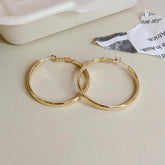 Fashion Trendy Stylish Classic Hoop Earrings for Girls Charms Glamorous Jewelry for Women Ladies Accessories Art Deco Wholesale
