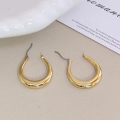 Fashion Simple Classic Charms Hoop Earrings for Girls Elegant Glamorous Trendy Jewelry for Women Ladies Accessories Wholesale