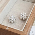 Silver Grapes