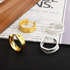 Minimalist Personalized Brushed Irregular Hoop Earrings Cool-toned Fashionable Ear Jewelry European and American Accessory Bulk