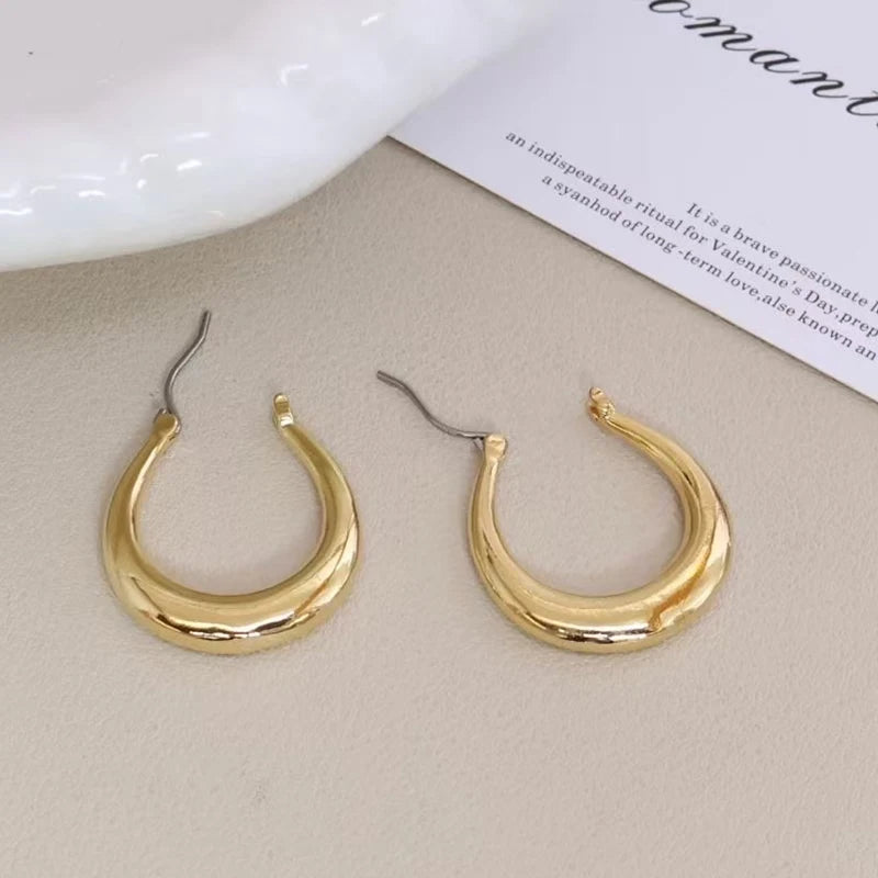 Fashion Trendy Simple Minimalistic Elegant Hoop Earrings for Girls Glamorous Dainty Jewelry for Women Ladies Accessories Chic