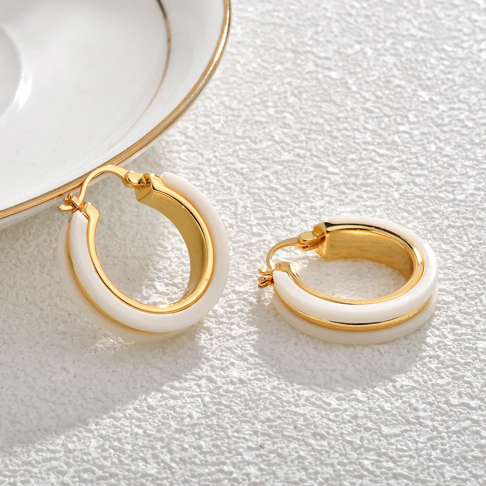 Vintage Chunky Gold Plated Hoop Earrings Women Tortoiseshell Resin Minimalist Geometric Earrings Jewelry Accessories Wholesale