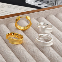 Minimalist Personalized Brushed Irregular Hoop Earrings Cool-toned Fashionable Ear Jewelry European and American Accessory Bulk