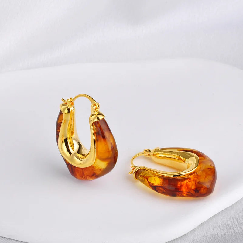 Retro Hoop Earrings Women Maillard Amber Earrings Explosive Curry Color Light Luxury Elegant Earrings Autumn and Winter New Bulk