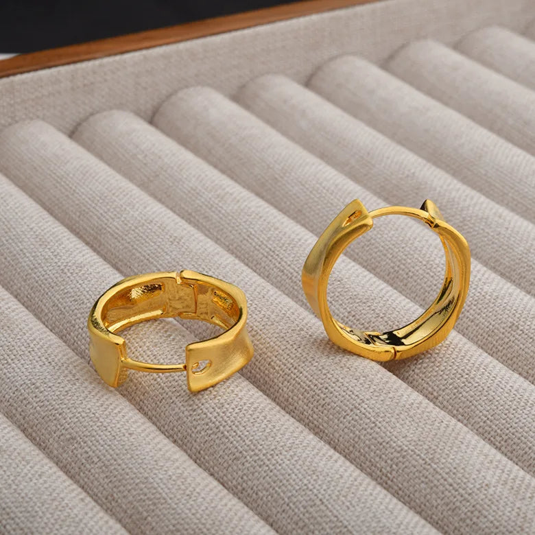 Minimalist Personalized Brushed Irregular Hoop Earrings Cool-toned Fashionable Ear Jewelry European and American Accessory Bulk