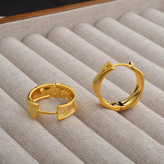 Minimalist Personalized Brushed Irregular Hoop Earrings Cool-toned Fashionable Ear Jewelry European and American Accessory Bulk