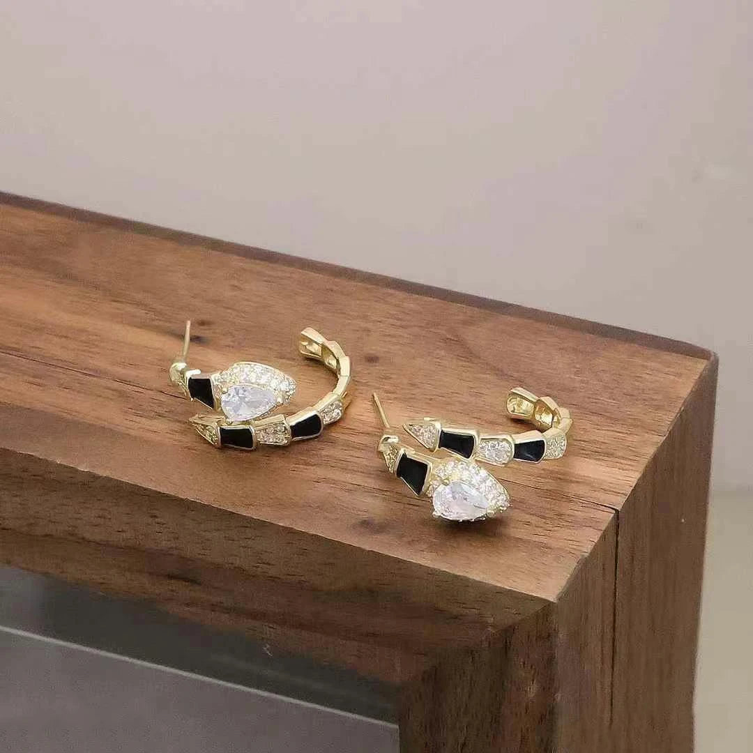 Refined Fashion Elegant Trendy Stylish Hoop Earrings for Girls Elegant Luxury Jewelry for Women Ladies Accessories Wholesale