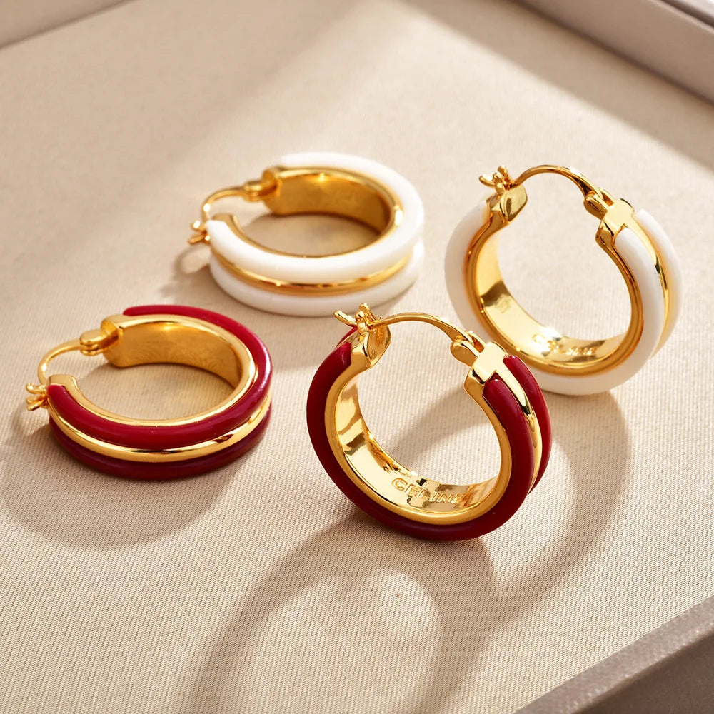Vintage Chunky Gold Plated Hoop Earrings Women Tortoiseshell Resin Minimalist Geometric Earrings Jewelry Accessories Wholesale