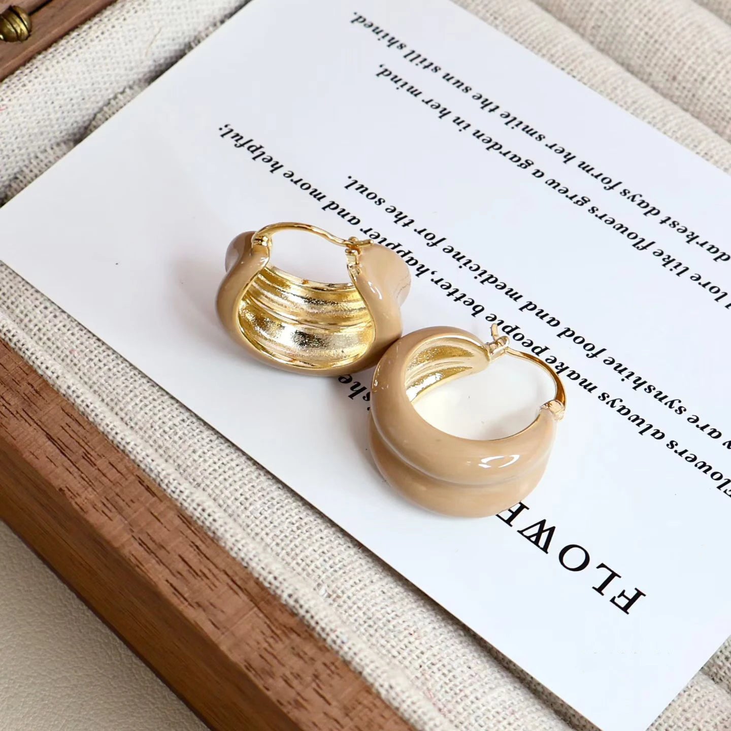 Trendy Elegant Stylish Fashion Hoop Earrings for Girls Minimalistic Refined Dainty Bold Jewelry for Women Ladies Bijuterias