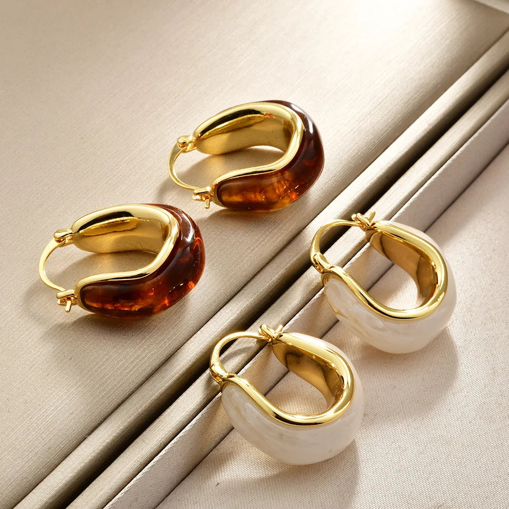 High-end Irregular Hoop Earrings Coffee-colored Resin OEar Buckles Elegant Light Luxury Earrings Women Fashionable and Stylish
