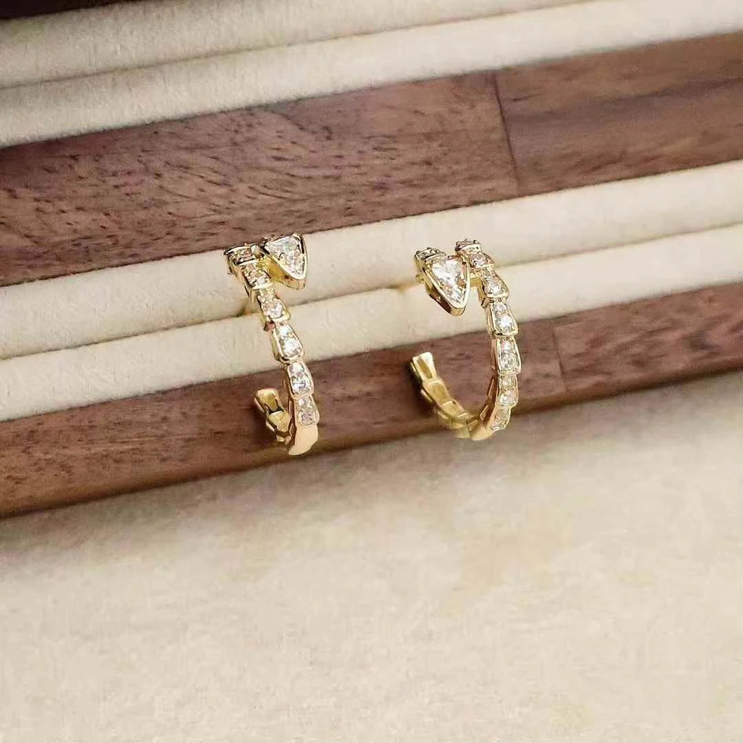 Refined Fashion Elegant Trendy Stylish Hoop Earrings for Girls Elegant Luxury Jewelry for Women Ladies Accessories Wholesale