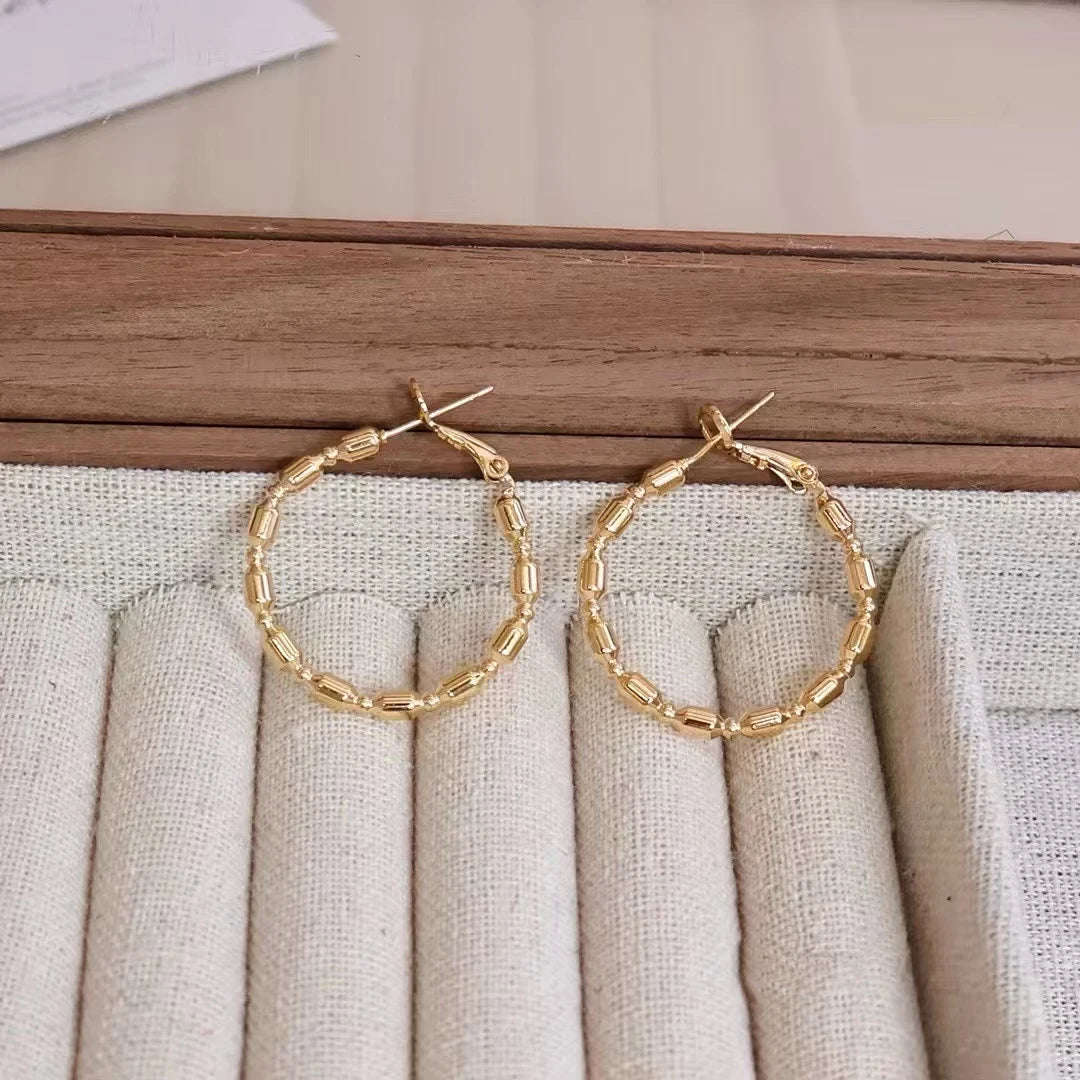 Fashion Trendy Stylish Classic Hoop Earrings for Girls Charms Glamorous Jewelry for Women Ladies Accessories Art Deco Wholesale