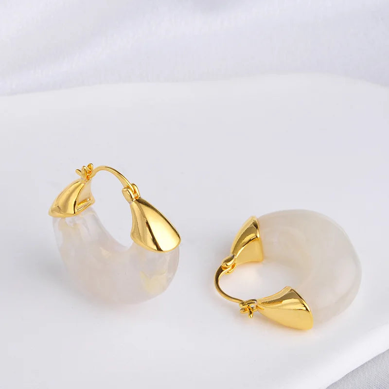 Retro Hoop Earrings Women Maillard Amber Earrings Explosive Curry Color Light Luxury Elegant Earrings Autumn and Winter New Bulk