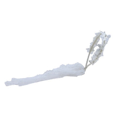 Girly Aesthetic Chic White Elegant Ponytail Holder Headbands Ribbon Tulle Beauty in Stock Hairbands Accessories for Kids Daily