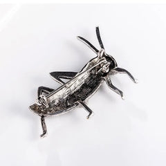 Fashion Insects Cricket Trendy Animals Glitter Brooches for Girls Stylish Cool Special Pins Jewelry for Women Ladies Accessories