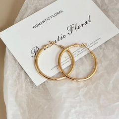Fashion Simple Classic Charms Hoop Earrings for Girls Elegant Glamorous Trendy Jewelry for Women Ladies Accessories Wholesale