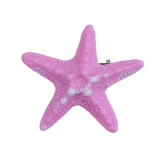 Hot Sale Solid Color Starfish Shaped Hair Clips for Girls Sweet Cute Fashion Alligator Haarspange for Women Hair Accessories