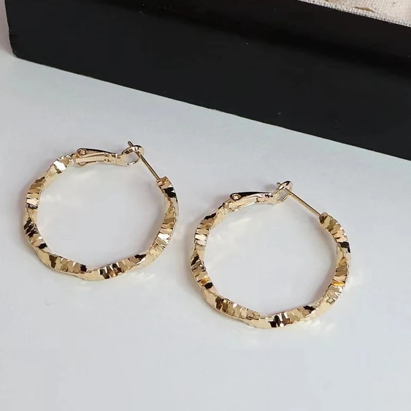 Fashion Lropard Print Autumn Winter Trendy Hoop Earrings for Girls ELegant Simple Jewelry for Women Ladies Accessories Chic